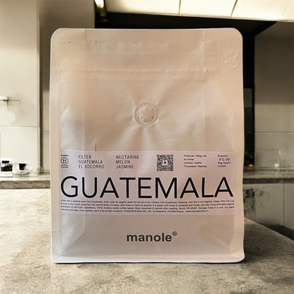 GUATEMALA WASHED GESHA 90
